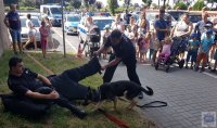 policjanci z psem, uczestnicy festynu