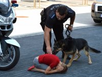 policjant z psem słuzbowym przed nimi dziecko pokazujące pozycję  &quot; Żółwia&quot;  zasłaniające uszy oraz głowę