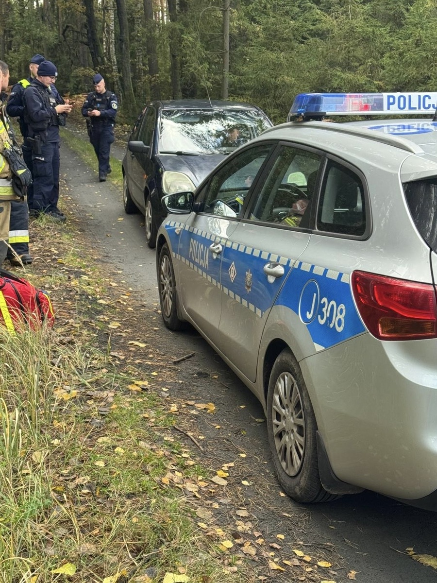 zdjęcie: policjanci podczas poszukiwań