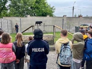 pokaz tresury psa służbowego, pies biegnący na podeście, w pierwszym planie dzieci