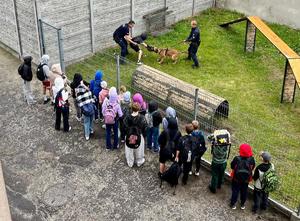 widok z góry na specjalne miejsce gdzie przewodnicy psów służbowych szkolą swoje psy, chłopiec ma założony rękaw na rękę, przewodnik trzyma psa na smyczy, który skacze w stronę rękawa
