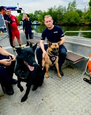 dwa psy służbowe siedzące na łodzi motorowej z tyłu siedzi przewodnik policjant