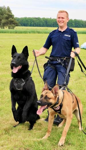 dwa psy służbowe trzymane przez policjanta przewodnika