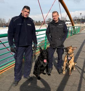 przewodnicy za psami